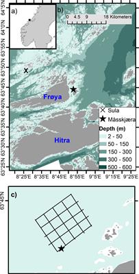 Biomass estimations of cultivated kelp using underwater RGB images from a mini-ROV and computer vision approaches